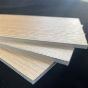 发展初期专注于电力电工绝缘材料领域、并在特