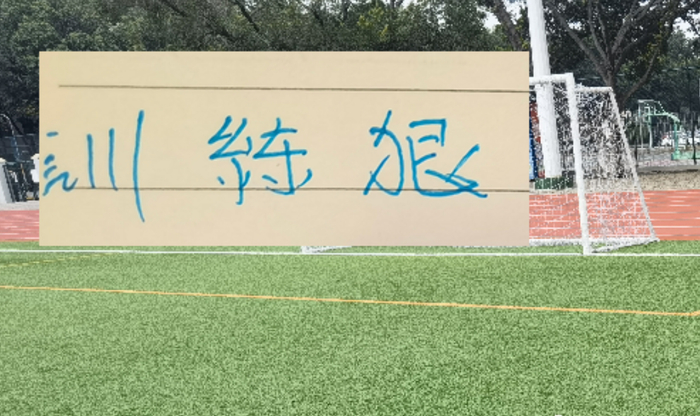 申花队多场失利伤病潮持续 亚冠毒害成关键因素